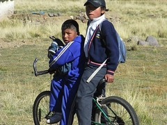 Altiplano - Peru